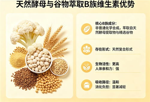 維生素B族吸收之王 2026第三方生物利用率實(shí)測(cè)榜單與微囊工藝深度盤點(diǎn)